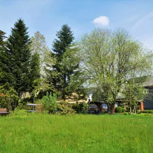 Natur pur Ferienhaus in Thüringen am Rennsteig